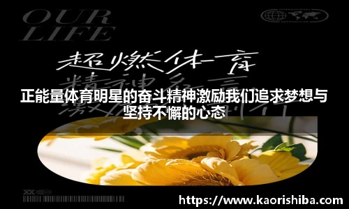 jbo竞博